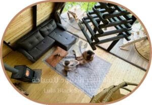 اكواخ Green Wood Merisi2