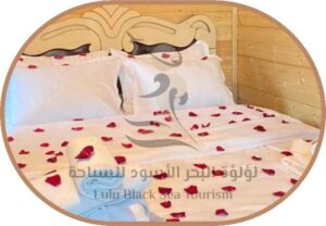 اكواخ Lightwood cabins1