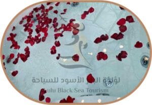 اكواخ Lightwood cabins7