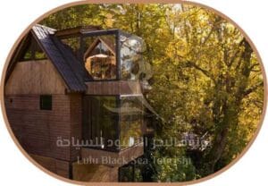 اكواخ woodpecker6