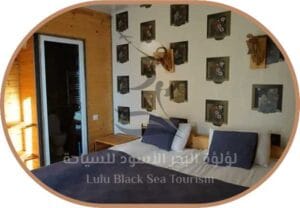 اكواخ كازباجي بانوراما9