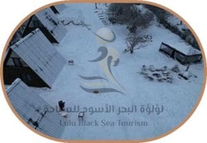 اكواخ لاند هاوس بورجومى3