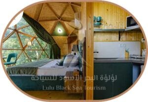 اكواخ مارتيني12
