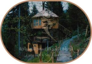 اكواخ هيل آن11