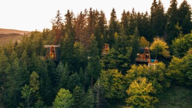 Cottage Galileo in Abastumani