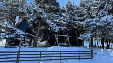 Elia Loft Stepantsminda