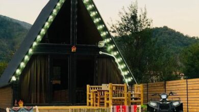 Borjomi Story Cottage