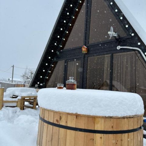 Borjomi Story Cottage15