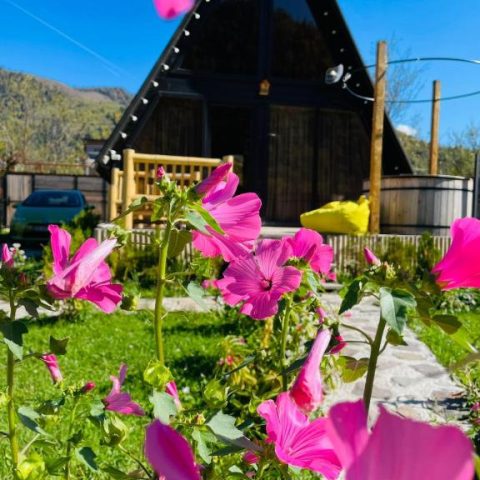 Borjomi Story Cottage25