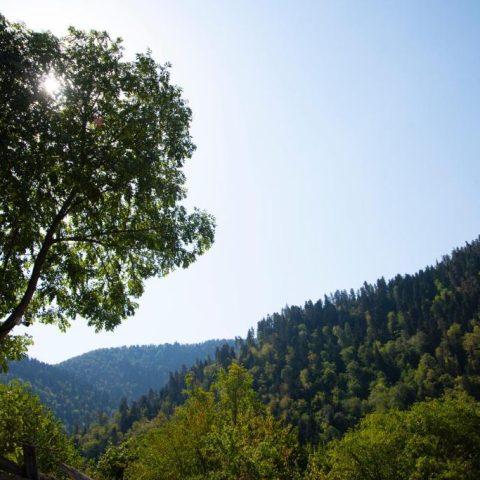 Landhaus Borjomi Cottage16