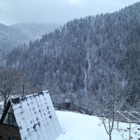 Landhaus Borjomi Cottage17