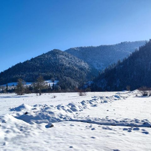 Landhaus Borjomi Cottage21