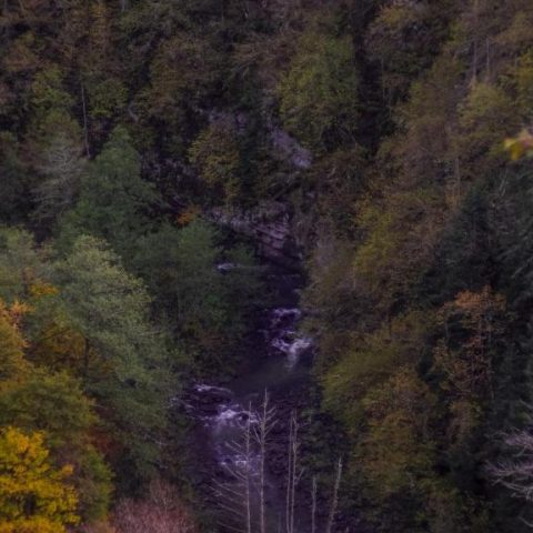 Landhaus Borjomi Cottage23