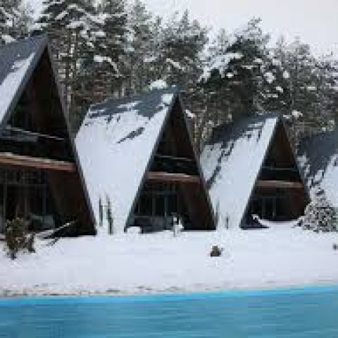 Park Hotel Surami Chalet26