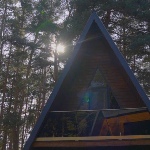 Park Hotel Surami Chalet4