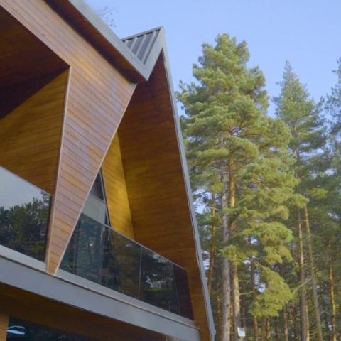 Park Hotel Surami Chalet5