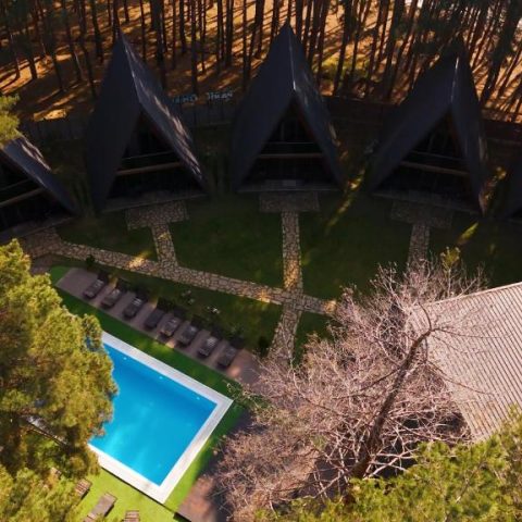 Park Hotel Surami Chalet9