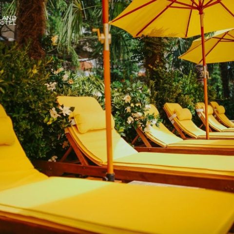 dreamland oasis2