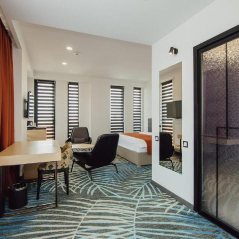 graphic hotel batumi3