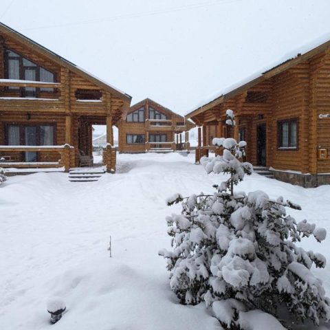 log house bakuriani11