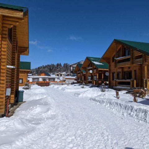 log house bakuriani14