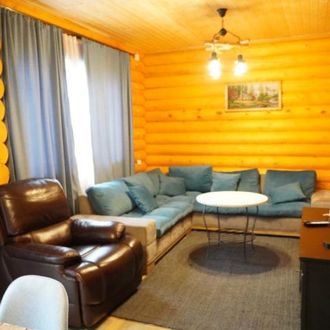 log house bakuriani17